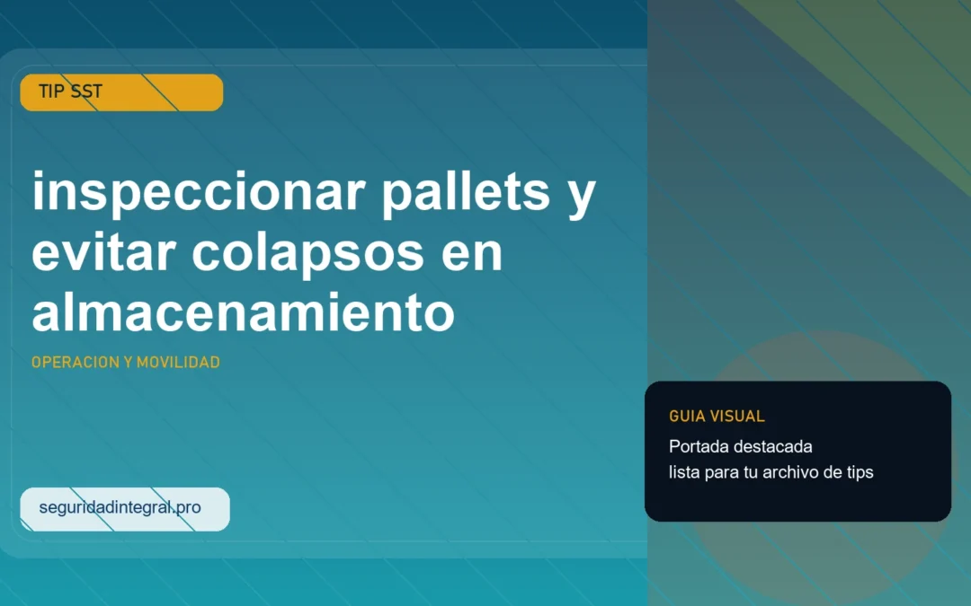 Tip para inspeccionar pallets y evitar colapsos en almacenamiento